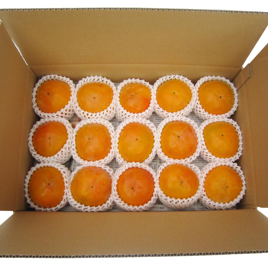 富有柿2L　15個入