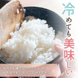 キヌヒカリ 2kg 2025年産 米 ※2025年9月中旬から順次発送【sml138】