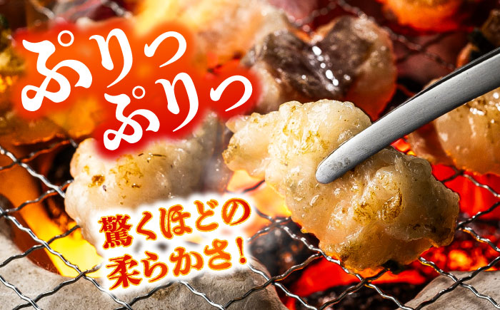 【全3回定期便】あか牛 白 ホルモン 約500g (約250g×2P) / 牛肉 褐毛和種 ホルモン 肉 九州産 国産牛 熊本県産 小分け あかうし 鍋 焼肉【五右衛門フーズ】 [BHCY010]