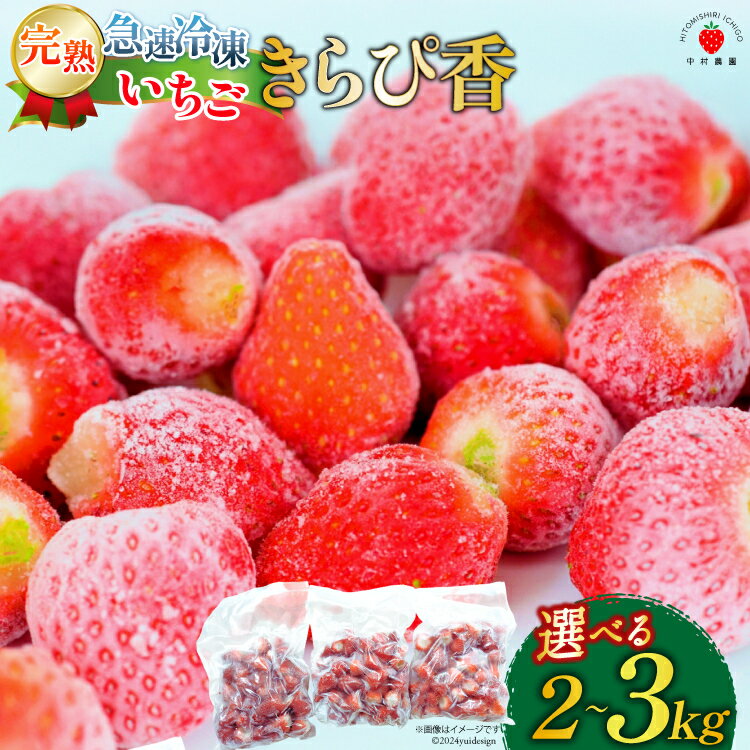 【ふるさと納税】いちご 冷凍 きらぴ香 1kg 2〜3袋 計2〜3kg 選べる量 [ HITOMISHIRI ICHIGO 中村農園 静岡県 吉田町 22424409] イチゴ 苺 フルーツ 果物 itigo