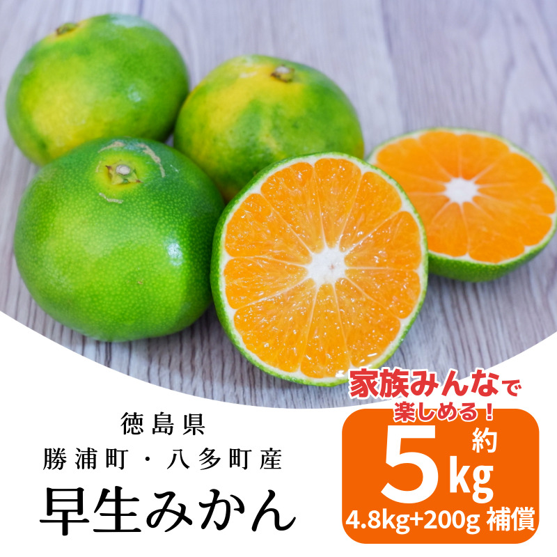 みかん 早生みかん 5kg 4.8kg＋傷み補償分200g 早生 柑橘 フルーツ 果物 みかん ミカン みかん 蜜柑 早採り オレンジ 1万円未満 徳島県 勝浦町 徳島市 八多町