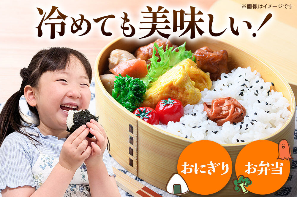 《令和8年産 新米受付》【白米】《定期便9ヶ月》特別栽培米 あきたこまち 5kg 秋田県 横手市 [新米 先行予約 秋田県産 あきたこまち 秋田こまち 米 お米 こめ]