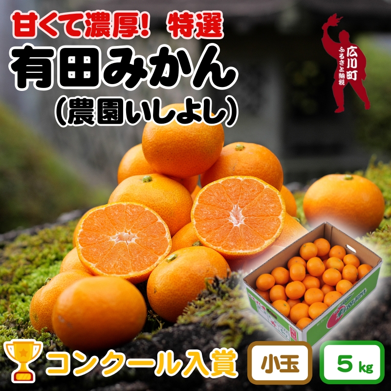 ▼有田みかん 【創業120年農家直送】 5kg 小玉 ・ 小粒サイズ 【※11月中旬より翌年1月中旬頃までに順次発送予定 】 【isy004-s-5】