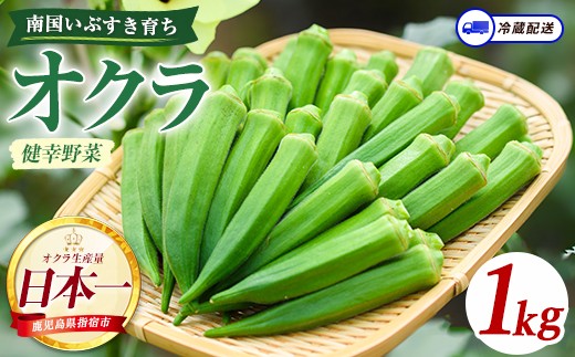 
                  指宿(いぶすき)産オクラ1kg (オネファーム/IB130-004) オクラ 野菜 夏野菜 旬 特産 夏 新鮮 鹿児島県
                