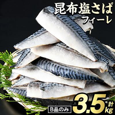ふるさと納税 阿久根市 訳あり!昆布塩さばフィーレ B品のみ 約3.5kg 【グローバルフーズ】