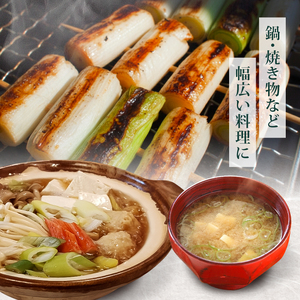 【先行予約 2026年12月～発送】白ねぎ 2kg(10～15本)  長ねぎ