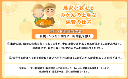  みかん 10kg 秀品 M~L 常温 国産 徳島県 勝浦産 果物 早生 産地直送 数量限定 