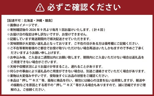 【4回定期便】 ニューピオーネ 晴王 紫苑 あたご梨 【2026年9月上旬より順次発送開始】 梨 葡萄 ブドウ ぶどう フルーツ 果物 ギフト 国産 岡山県産