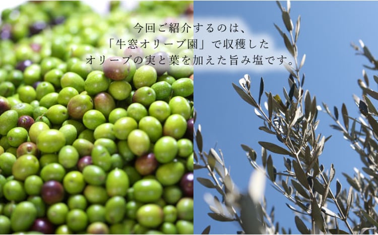 赤屋根オリーブの実と葉入り 旨み塩 ＆ 有機栽培オリーブオイル ブレンド セット 食用油 植物オイル 調味料 味付け フルーティ 生食用オリーブ油 エキストラバージンオリーブオイル 