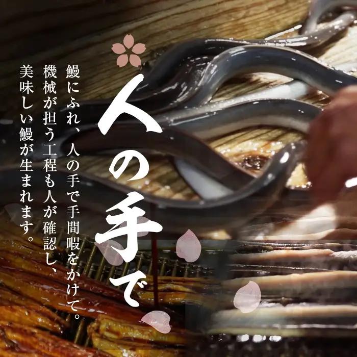 柳澤 流水桜 うなぎ 蒲焼き 計3尾＜計360g＞ a4-096
