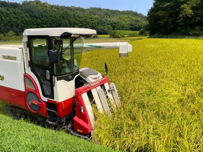 【令和5年度】鈴鹿山麓の銘水が育てた米、米どころ三重県産小山田地区「こしひかり」10kg