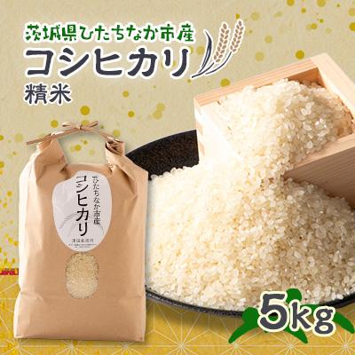 ふるさと納税 ひたちなか市 令和7年産　ひたちなか市のお米コシヒカリ　5kg×1袋