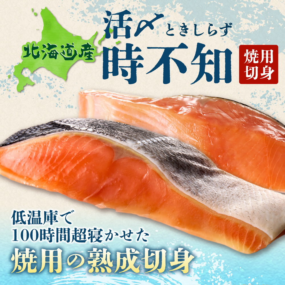 鮮度の良い時不知鮭だけを厳選！鮭乃丸亀　熟成中辛鮭（活〆時不知）切身