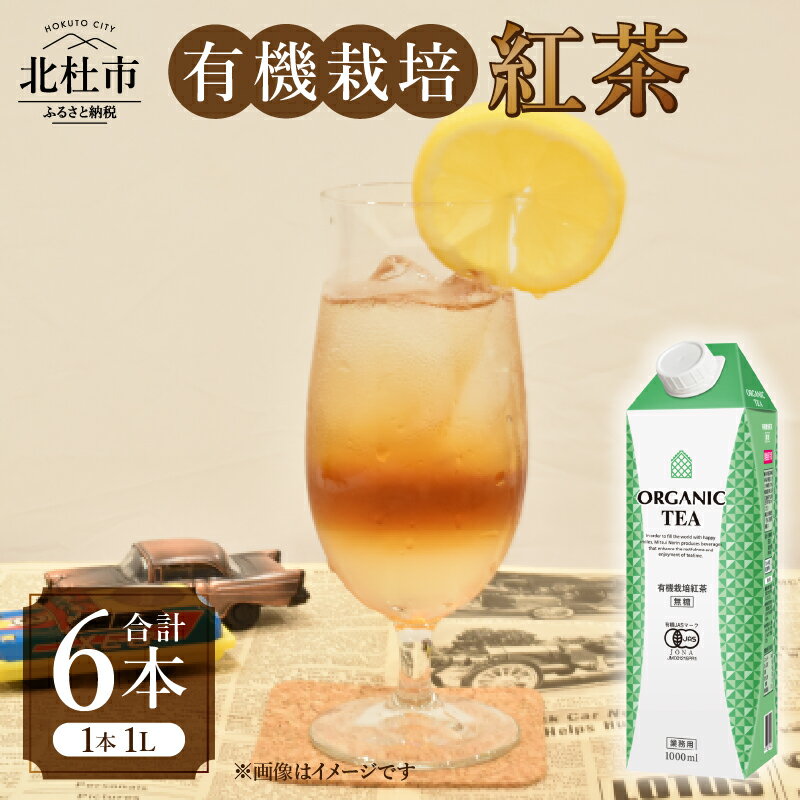 【ふるさと納税】 有機栽培紅茶 有機栽培 紅茶 ホワイトノーブル 1L 1000ml×6本 紙パック アレンジティー 飲料 日東紅茶 業務用 優雅 贅沢 ティータイム 山梨県 北杜市 送料無料