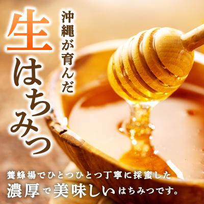 ふるさと納税 石垣市 石垣島産 生はちみつ 200g HS-001 |  | 01