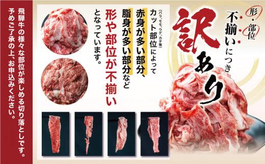 【2026年3月発送】飛騨牛 訳あり 切り落とし600g (日付指定不可) | 牛肉 肉 訳あり 切落し すき焼き 高山市 不揃い 黒毛和牛 冷凍 人気 国産 薄切り 部位 お取り寄せ グルメ 高評価