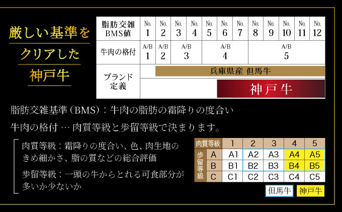 神戸牛 サーロイン ステーキ 600g（200g×3枚）【あしや竹園】 牛肉 黒毛和牛 肉 お肉 サーロインステーキ 霜降り 国産 BBQ ギフト 贈答用 芦屋 芦屋市 兵庫 贈答 [054-a022]