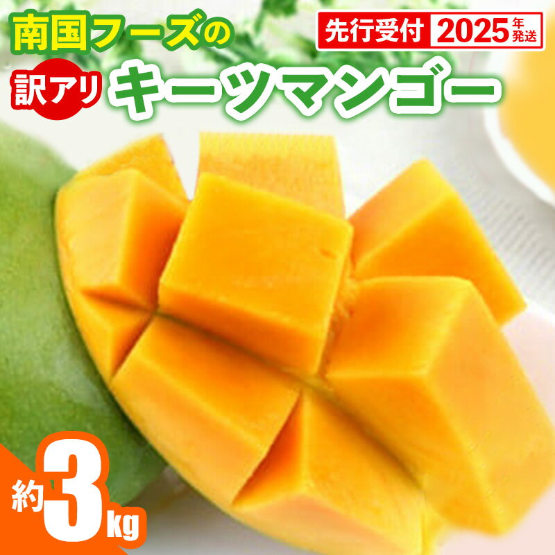 【ふるさと納税】【2025年発送】南国フーズのキーツマンゴー訳あり 約3kg - 家庭用 訳アリ 沖縄 産地直送 南国フルーツ 旬の味覚 沖縄県産 国産マンゴー 希少種 オススメ 沖縄県 八重瀬町