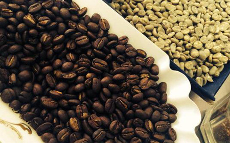 緑の館 / モカ・スペシャルブレンド豆 300g×2（600g）コーヒー コーヒー豆 珈琲 珈琲豆 グリーンハウスコーヒー 下呂市【17-92】