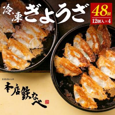 ふるさと納税 中間市 【毎月定期便】本店鉄なべの冷凍ぎょうざ48個入り全3回