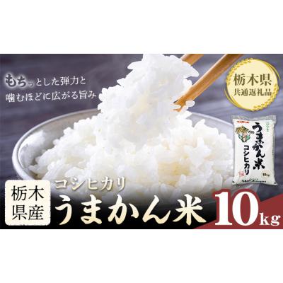 ふるさと納税 野木町 令和7年産 米 お米 コシヒカリ うまかん米 10kg《30日以内に出荷予定(土日祝除く)》