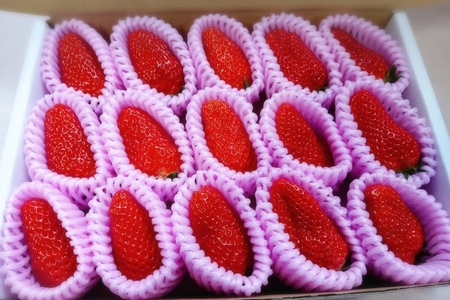 まつみやファーム獲れたて野菜・フルーツ5種定期便