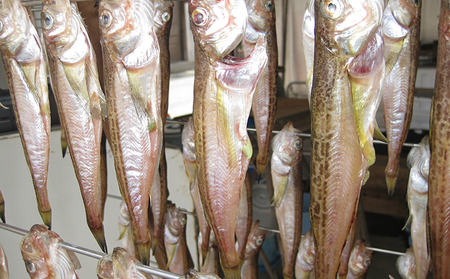 ハタハタ（大）干物 一夜干し 450g ×1箱 魚貝類  海鮮 干物 おつまみ 肴 ハタハタ 酒 myz02 myz11 myz17