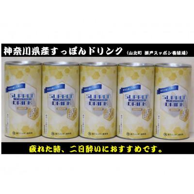ふるさと納税 山北町 【2025年11月中旬発送】神奈川産すっぽんドリンク　180g×5缶 | 