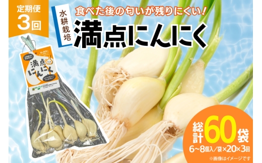 にんにく 満点にんにく 20袋 3回 定期便 [グローアップ 愛知県 岡崎市 ok23bzw550009] ニンニク 大蒜 ガーリック 発芽 野菜 やさい 生にんにく 国産