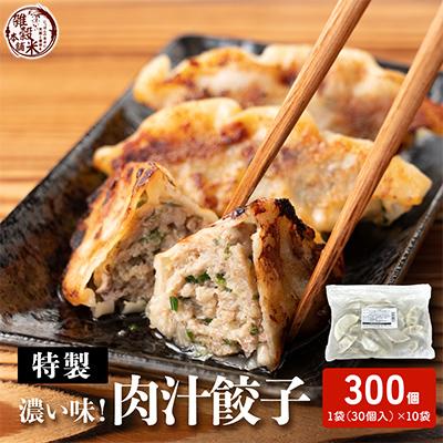 ふるさと納税 静岡市 居酒屋監修 ガツンと濃い味 冷凍餃子 肉汁餃子(30個入×10袋)