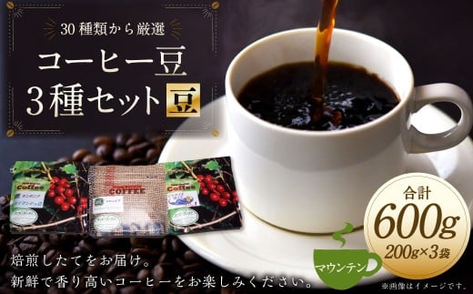 コーヒー豆 3種類 セット 【豆】 （マウンテンセット） 珈琲 コーヒー マウンテン 厳選 岐阜県 美濃加茂市