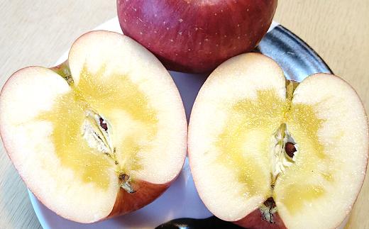 【令和7年産先行予約】 雪んこ 完熟ふじりんご 約10kg バラ詰め 《令和8年1月上旬～発送》 【全国りんご選手権 銀賞】 『船中農園』 りんご リンゴ ふじ ふじりんご 完熟 果物 フルーツ デザ