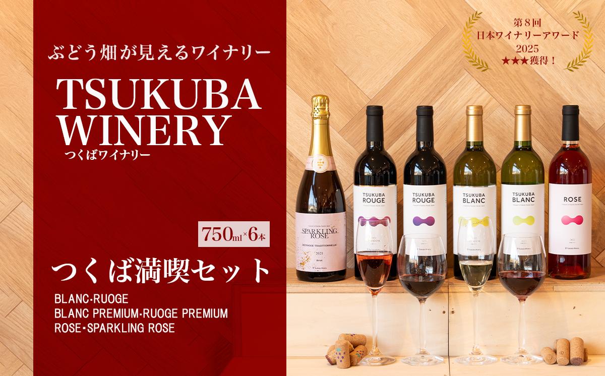 
                  ワイン スパークリングワイン つくばワイナリー 満喫 6本セット 各種750ml 日本ワイン │ 国産ワイン お酒 葡萄 ぶどう ブドウ ワイナリー ワイン wine わいん 葡萄酒 アルコール 贈答 ギフト プレゼント 赤ワイン 白ワイン ロゼ スパークリング 茨城県 つくば市
                