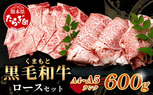 【 年内お届け 】A4・A5 くまもと黒毛和牛 ロース セット 計600g ( すき焼き / 焼肉 各300g ) 本場 熊本県 ブランド 牛 黒毛 和牛 厳選 A4以上 肉 上質 熊本県 113-0506-R612