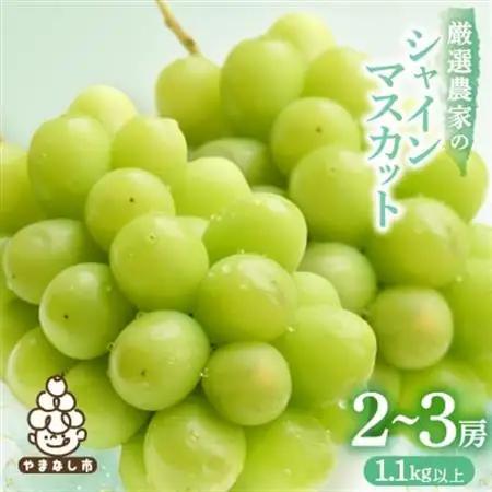 大人気!山梨のシャインマスカット2～3房　1.1kg以上