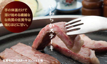 佐賀牛ステーキ・スライス肉セット（3,000g） 中島精肉   F100-002