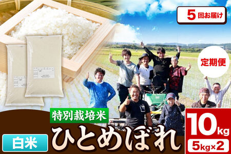 《定期便5ヶ月》令和7年産【白米】特別栽培米 ひとめぼれ 10kg（5kg×2袋）秋田県産 [ひとめぼれ 米 お米 白米 精米 特別栽培米 ブランド米 食卓 秋田県産 秋田県 由利本荘市]