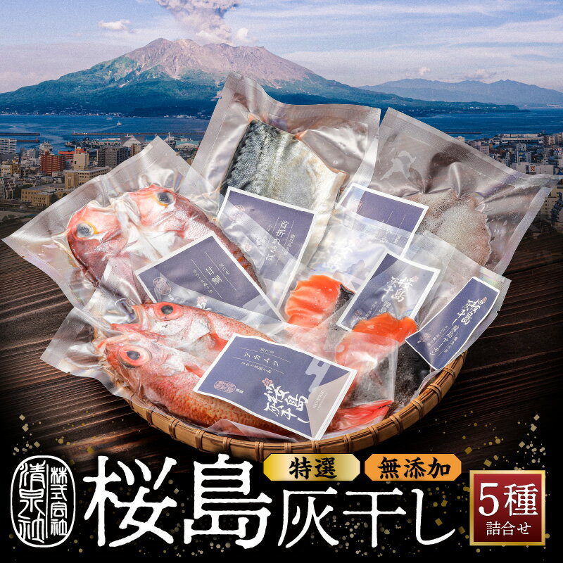 【ふるさと納税】 桜島 灰干し 5種 詰合せ 【 特選 】 送料無料 海産物 海の幸 魚介 魚 さかな 干物 ひもの 手作り 手づくり 無添加 火山灰 のどぐろ 甘鯛 アマダイ さば 鯖 アオリイカ いか サーモン 鮭 加工品 人気 ギフト 鹿児島市 国産