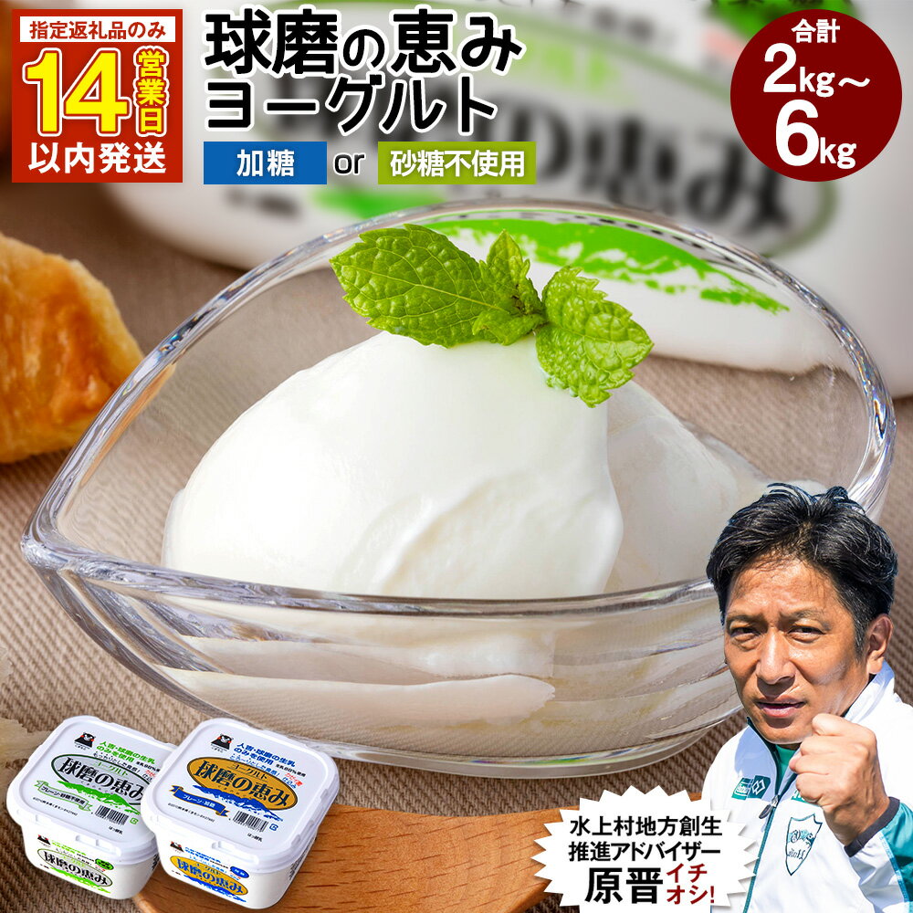 【ふるさと納税】 年内発送 球磨の恵みヨーグルト 加糖 or 砂糖不使用【2kgのみ14営業日以内発送予定】【選べる容量】 合計 約2kg 約1kg×2パック 約3kg 約1kg×3パック 約4kg 約1kg×4パック 約6kg 約1kg×6パック 乳製品 生乳 朝食 スイーツ おやつ 熊本県産 国産 冷蔵
