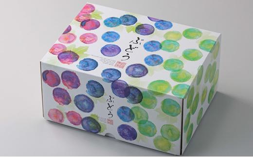 ぶどう 2024年 農家こだわりのシャインマスカット 2～3房 合計約1.2kg ブドウ 葡萄 岡山市産 国産 フルーツ 果物 【 Nini farm 農家 直送 】 [No.5220-1699]