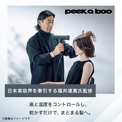 ふるさと納税 燕市 ツインバード 匠クラフトドライヤー TB-G009W18 |  | 01
