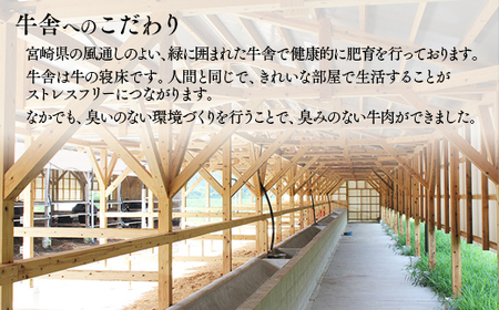 都萬牛　ローススライス600g　すきやき・しゃぶしゃぶ　国産牛肉＜2-25＞