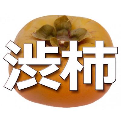 ふるさと納税 那智勝浦町 【お試し用】アンポ干し柿用平核無(ヒラタネナシ)渋柿AP-約1.5〜2kg 約9〜12果実 |  | 01