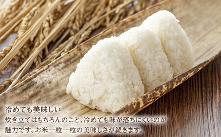 【2025年発送分 先行予約】令和7年産 さがびより5kg 白米 / 佐賀県 / 有限会社中島商店[41AGAC007]