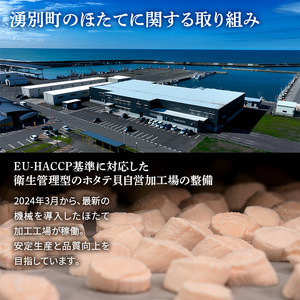 【最短当日発送】北海道オホーツク 湧別沖 ほたて 玉冷小分け パック  600g（300g×2P）【 ホタテ 帆立 ほたて スタンドパック 海鮮 刺身 貝 貝柱 魚介 魚介類 冷凍 北海道 湧別町 】