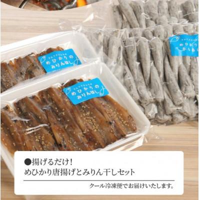 ふるさと納税 延岡市 めひかり唐揚げ・めひかりみりん干し　宮崎県日向灘深海魚セット |  | 01