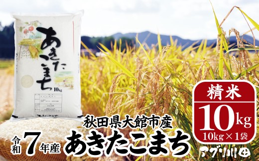 【先行予約】【令和8年産】ホタルが舞う清らかな環境で育った「あきたこまち」10kg(10kg×1袋) 100P072004/ 米 こめ コメ 精米 白米 4kg 2kg 2袋 小分け あきたこまち 弁当 おにぎり 秋田 東北 大館 大館市 アグリ川田