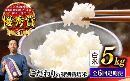 6回定期便R7年度くまさんの輝き白米5kg 計30kg白米5キロAYCC029
