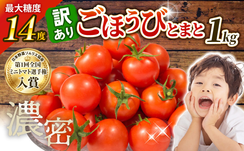 
            【予約受付】訳あり トマト 高糖度 甘い 1kg フルーツトマト ミニトマト 野菜 果物 濃厚 産地直送 とれたて 徳用 大きさ不揃い アンチエイジング 生活習慣病予防 ごほうびとまと 株式会社風の子ファーム 埼玉県 羽生市
          