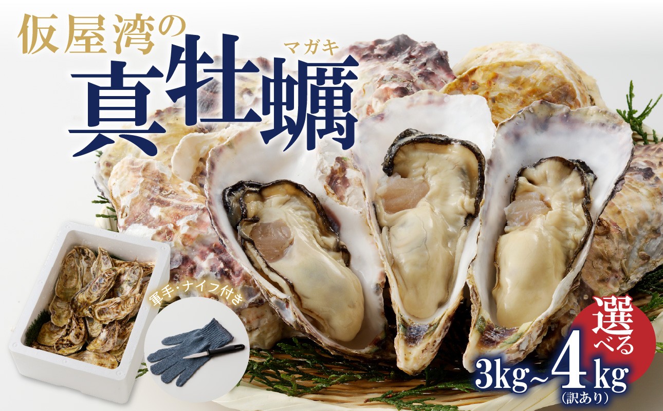
            仮屋湾の真牡蠣 3kg or 4kg（訳あり） 牡蠣 カキ 魚貝類 焼き牡蠣 蒸し牡蠣 カキフライ 牡蠣グラタン 佐賀県 玄海町【殻付き】
          